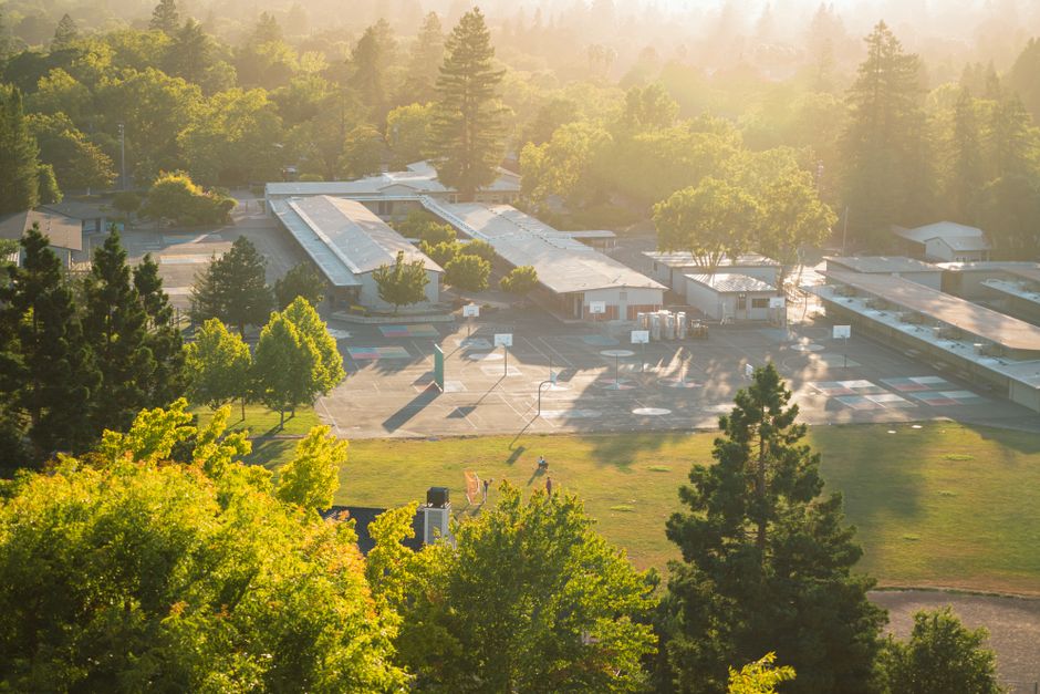 The Deodar House School campus from above on a sunny morning, school buildings and playing fields among tall conifers